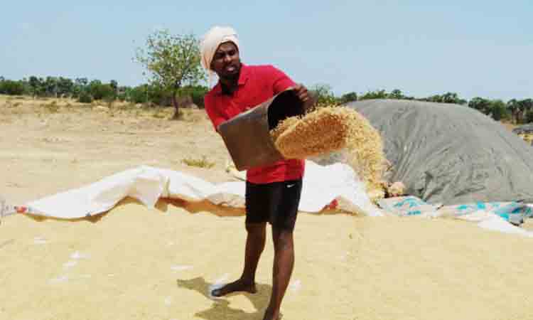 కొనేదే..లే!