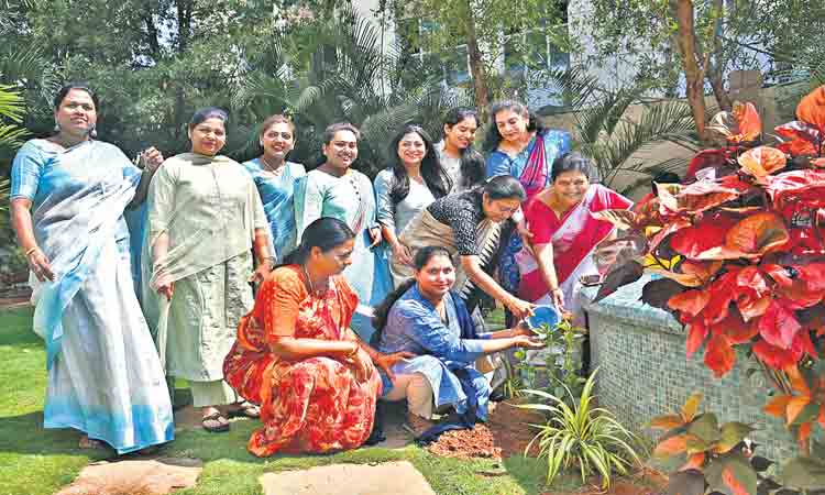 గ్రీన్‌ చాలెంజ్‌లో నారీమణులు