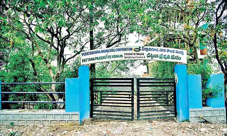 52 లక్షల మొక్కలతోహరిత హారం