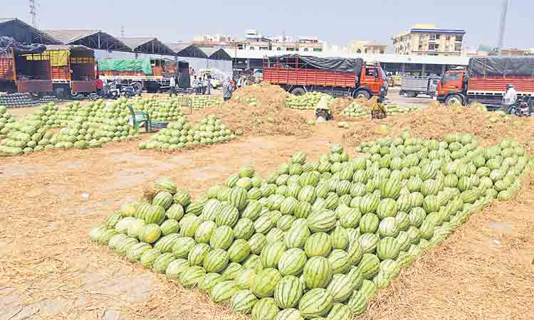 గడ్డిఅన్నారానికి సరుకొచ్చింది