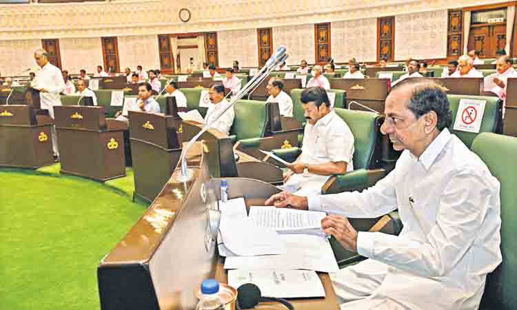 అస్తిత్వ పతాక కేసీఆర్‌