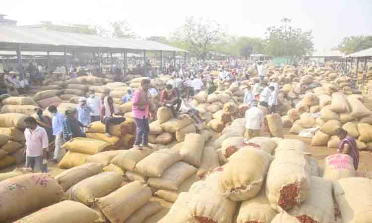 నిలకడగా మిర్చి ధరలు