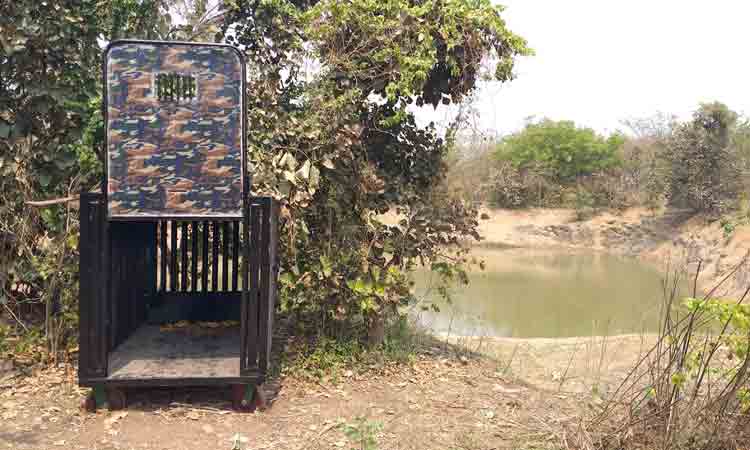 గుడ్డెలుగు చిక్కేదెలా..?