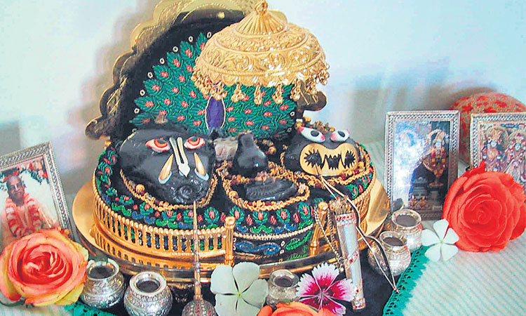 ఉగ్రం.. శాంతం.. సాలగ్రామం