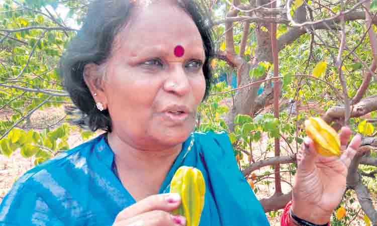 మాజీ శాసనసభ్యురాలు..సాగులో అద్భుతాలు!