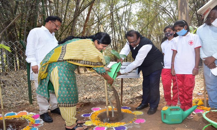 పెరిగిన అడవుల శాతం