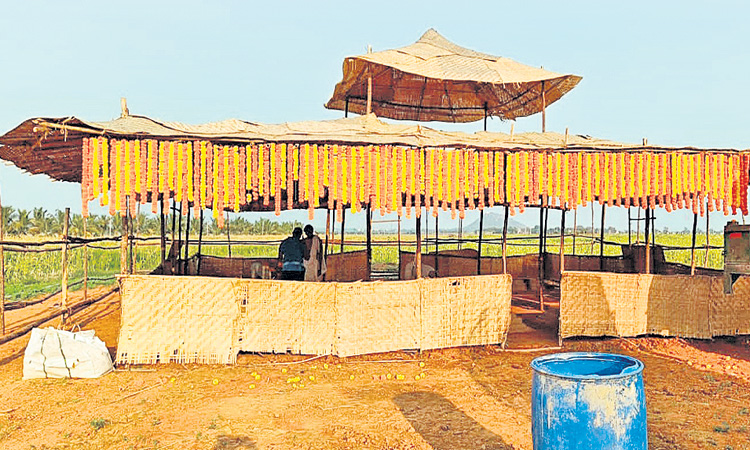 నేటి నుంచి సహస్ర చండీయాగం