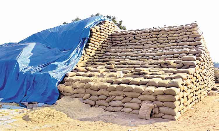 నూకల రుచి చూపిస్తం..