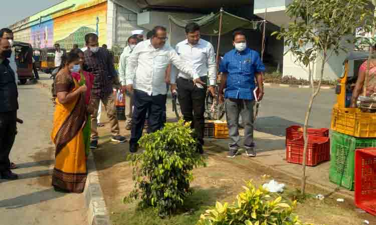 పచ్చదనం పెంచాలి