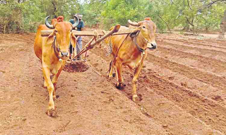 వేసవి దుక్కులు.. యాసంగికి మేలు