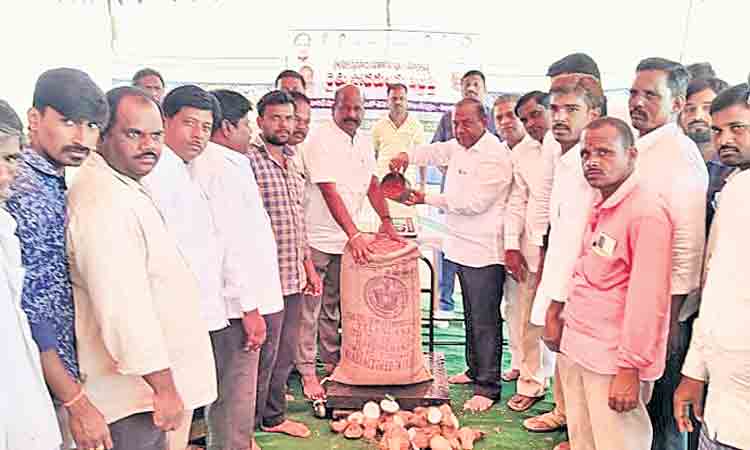 రైతు శ్రమకు తగ్గ ఫలితం