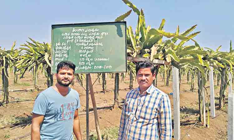 న్యూజిలాండ్‌నుంచి రంజోల్‌కు..