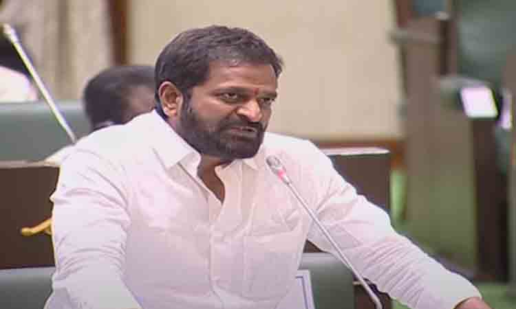 ఇత‌ర దేశాల‌తో పోటీ ప‌డే విధంగా ప‌ర్యాట‌క రంగాన్ని అభివృద్ధి చేస్తాం : మంత్రి శ్రీనివాస్ గౌడ్