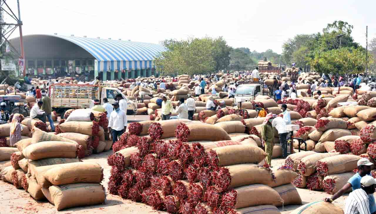 ఎనుమాముల మార్కెట్‌లో ఎర్ర బంగారానికి రికార్డు స్థాయి ధ‌ర‌.. ఎంతంటే?