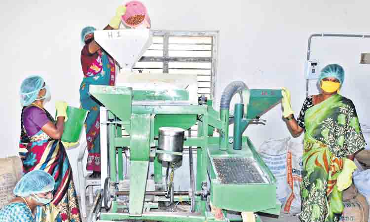 మహిళా ఫుడ్‌ ప్రాసెసింగ్‌ యూనిట్లకు ‘పావలా వడ్డీ’