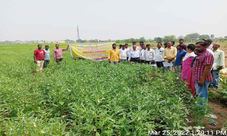 బయో ఎరువులను తయారు చేసుకోవాలి
