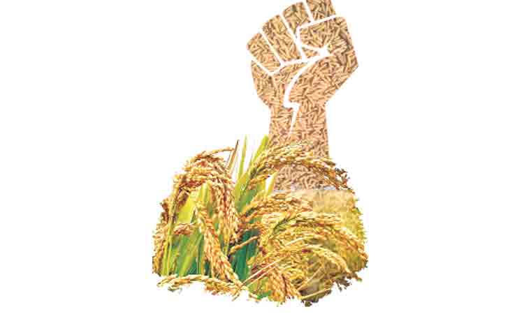 వరి పోరుకు సై…