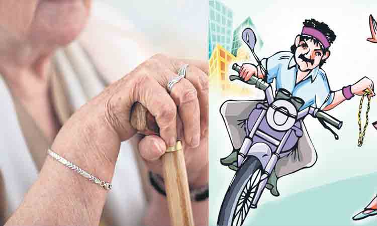 పండుటాకులే.. టార్గెట్‌