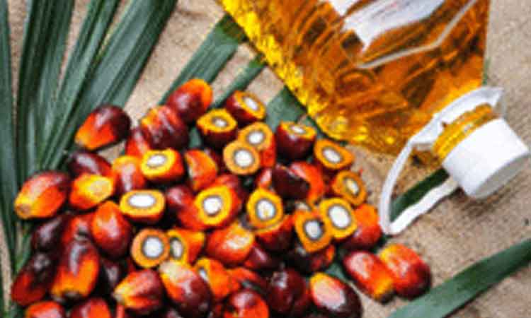 Palm Oil Rates Rise | స‌న్‌ఫ్ల‌వ‌ర్ ఆయిల్ కొర‌త‌.. పామాయిల్ ధ‌ర‌లు పైపైకి!