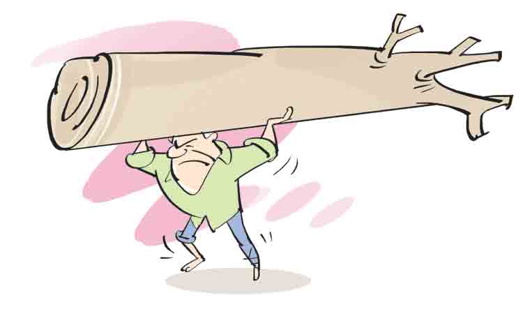 మన సామెతలు