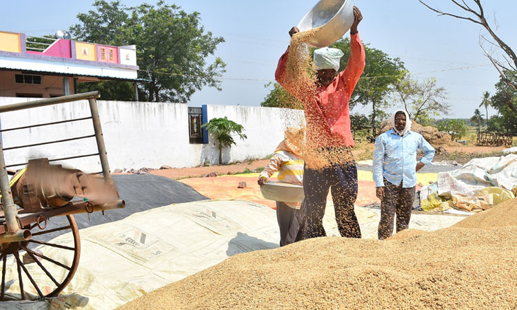 తెలంగాణ‌పై దొంగ ప్రేమ ఆపండి.. రాహుల్ గాంధీపై మంత్రి హ‌రీశ్ రావు ధ్వ‌జం