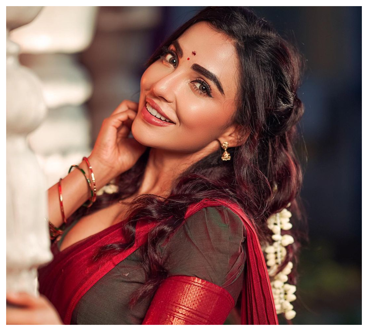 Parvati Nair | మెరూన్ క‌ల‌ర్ శారీలో పార్వతి నాయర్ ప‌రువాలు