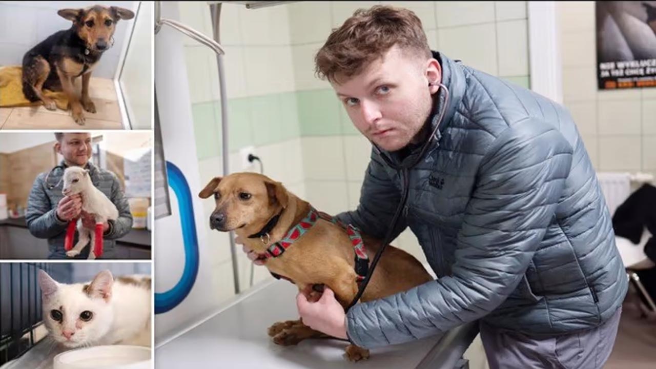 Russo-Ukraine War | మూగజీవాల ఆత్మబంధువు.. వందలాది మూగజీవాలను కాపాడిన యువకుడు