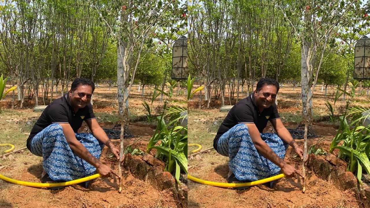 గ్రీన్‌ ఇండియా చాలెంజ్‌లో మొక్కలు నాటిన సినీ నటుడు ప్రకాశ్‌రాజ్‌