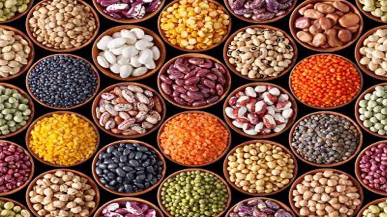 అంతర్జాతీయ పప్పుదినుసుల ఏడాది?