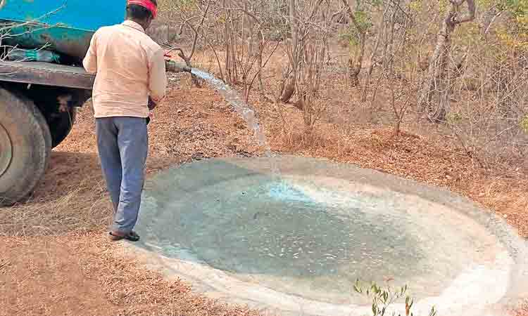 వన్య ప్రాణుల దాహం తీరేలా..