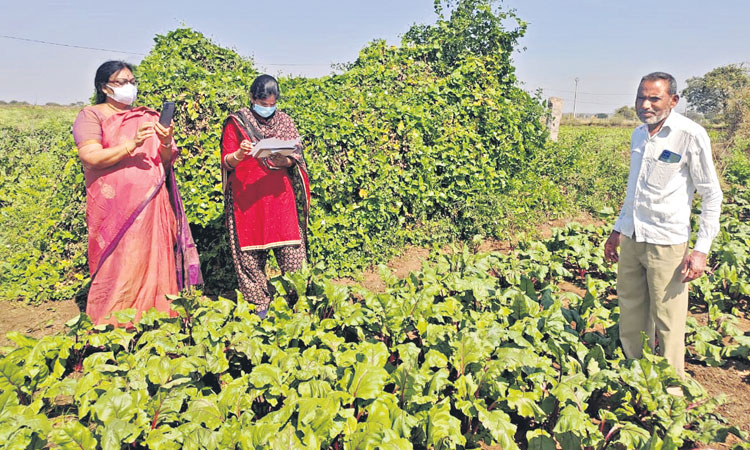 ఆన్‌లైన్‌లో పంటల లెక్క