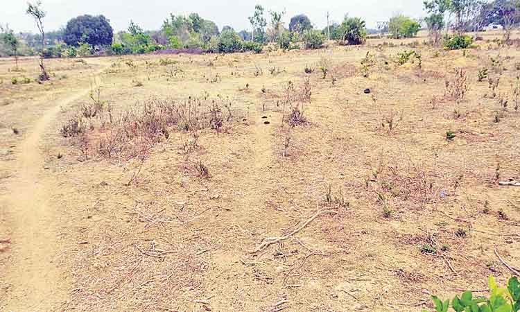 బోరుబావి తవ్వించి విద్యుత్‌ సౌకర్యం