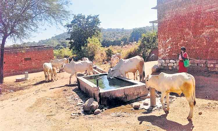 దాహార్తి తీరేలా నీటి తొట్టెలు