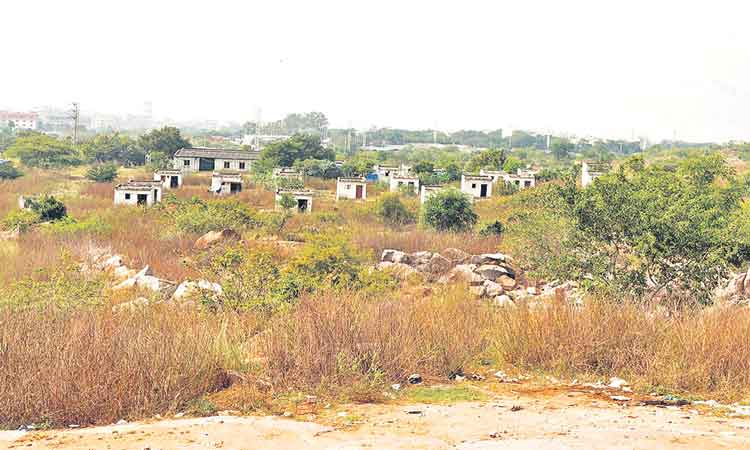 58,59 జీవోల కింద దరఖాస్తులు 31,981