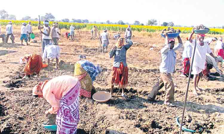 ఉన్నతితో ఉపాధి