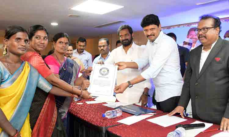 ఈ ఏడాది 3 కోట్ల విత్తన బంతులు