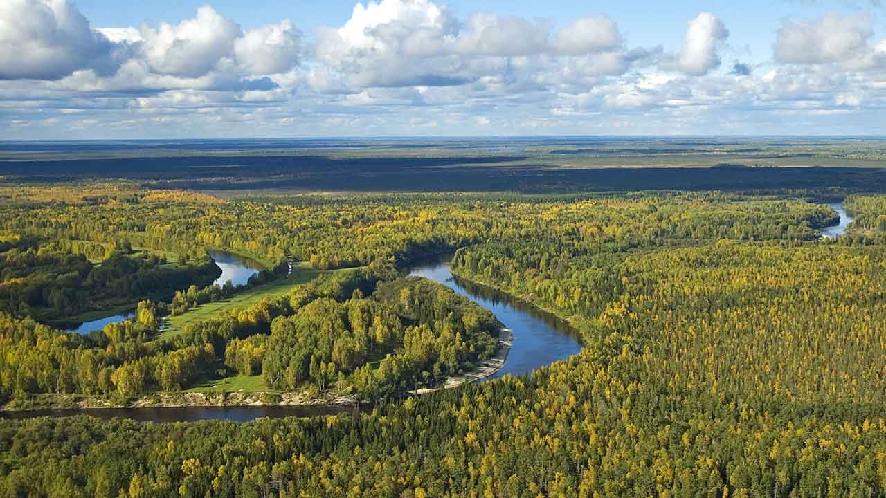 ఆసియా సింహాలకు ప్రసిద్ధి చెందిన పీఠభూమి ఏది?