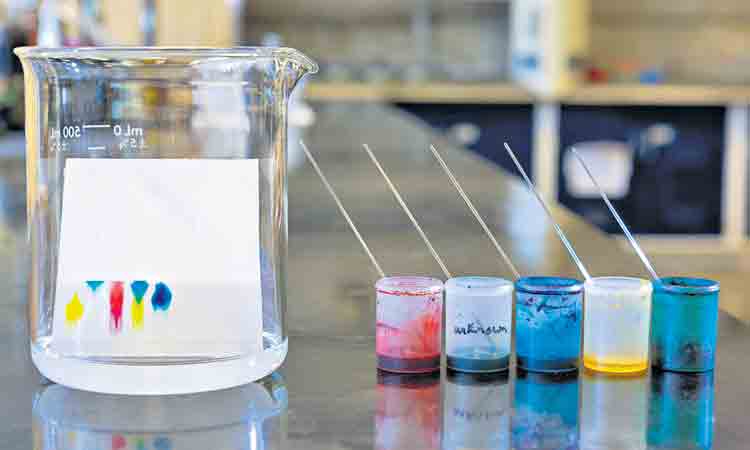 ఇసుక, చక్కెర మిశ్రమం దేనికి చెందినది?