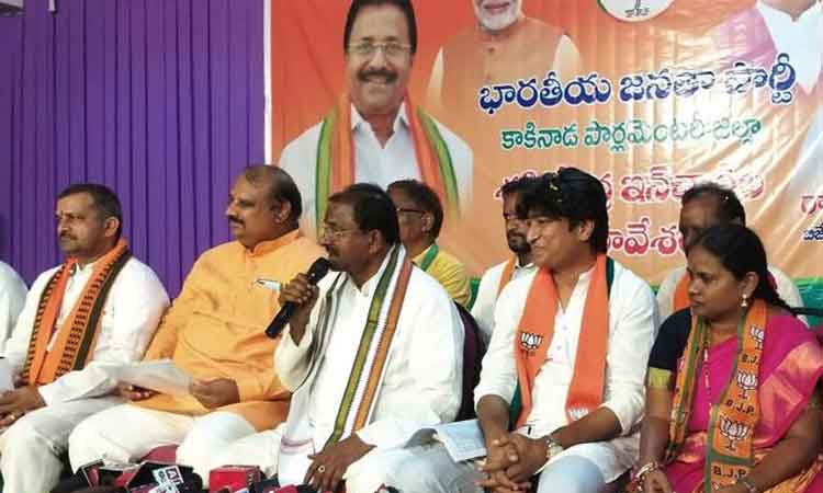 ఇది ముమ్మాటికీ ముందస్తు ఎన్నికల బడ్జెట్‌: సోము వీర్రాజు కామెంట్స్‌