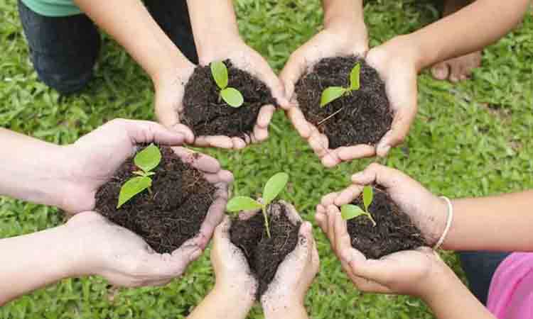 Telangana Budget: హ‌రితహారం కార్య‌క్ర‌మానికి ఎన్ని నిధులంటే..