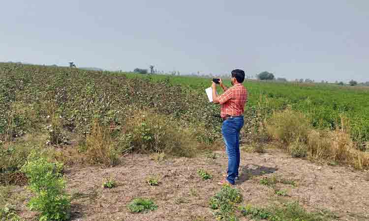 క్రాప్‌ యాప్‌తో సరికొత్తగా సాగు