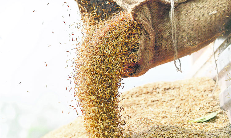 ఊరూరా వడ్ల పోరు