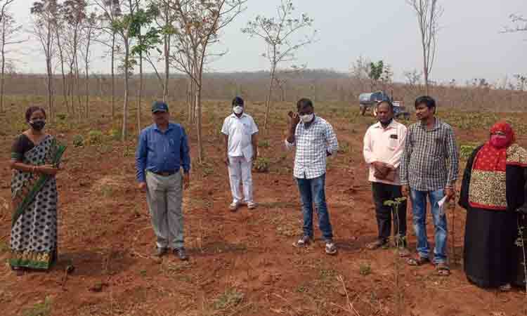 పల్లెప్రకృతి వనాలను కాపాడుకుందాం