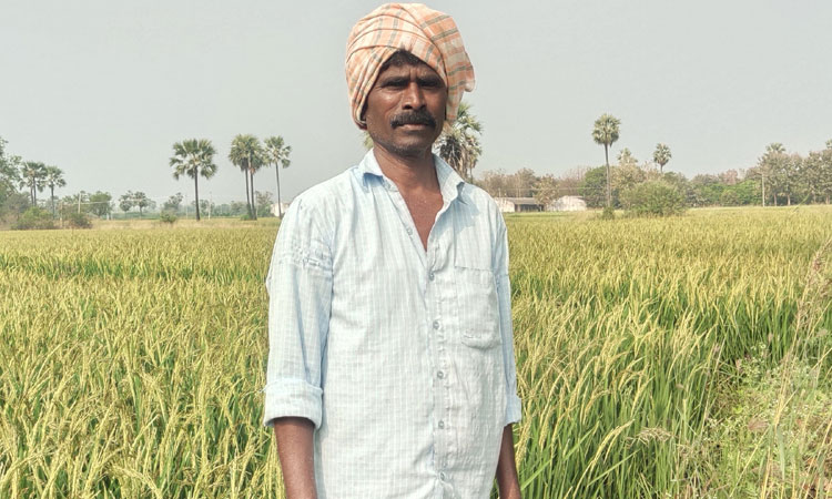 పంజాబ్‌ బియ్యం పంపుతరేమో!