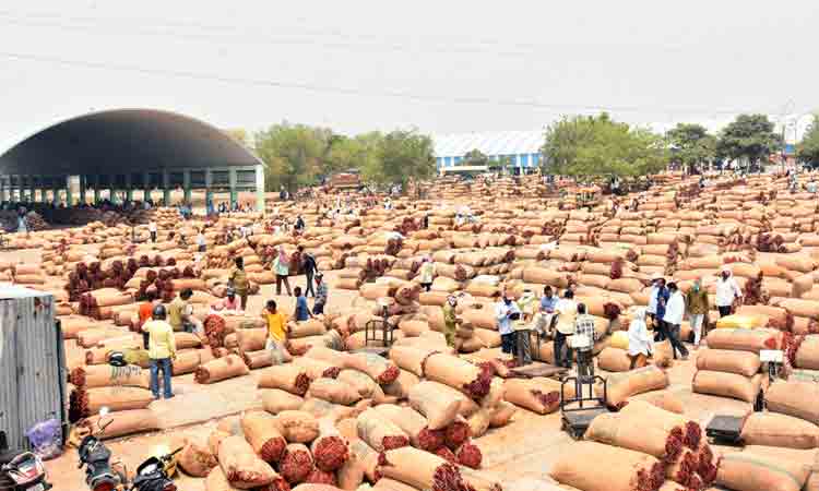 ధరలు మెరిసె.. రైతన్న మురిసె..