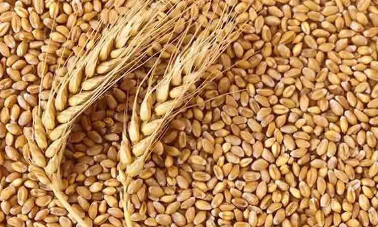 ఆహార సంక్షోభం దిశగా ప్రపంచం!