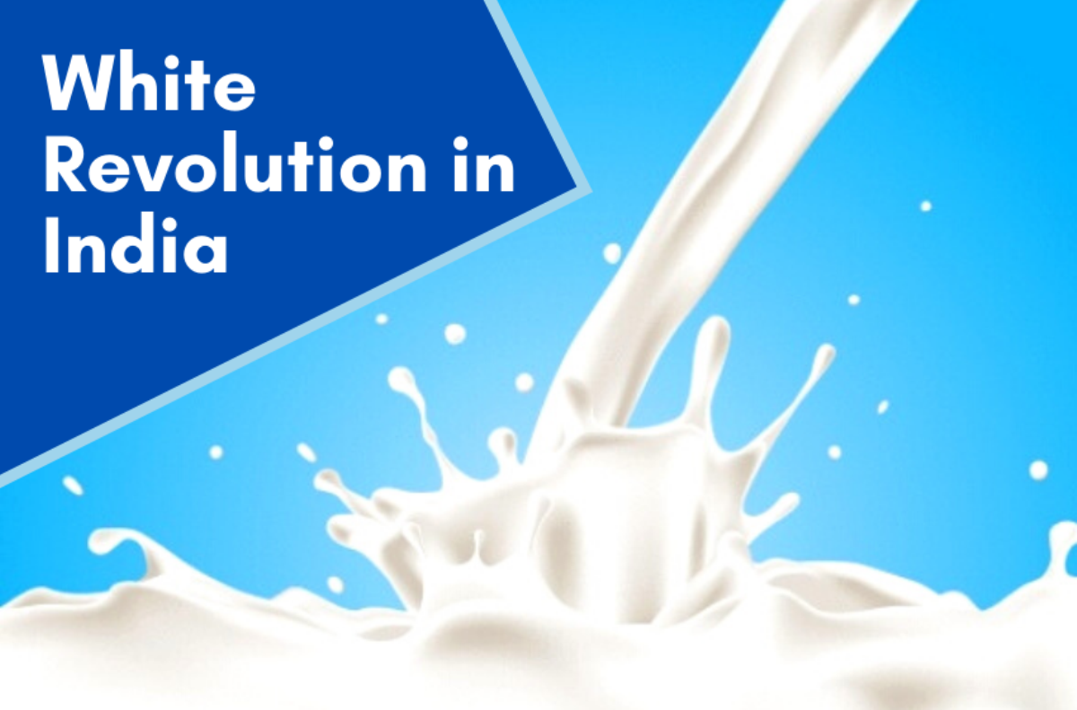 White Revolution | శ్వేత విప్లవం (వైట్ రివల్యూషన్)