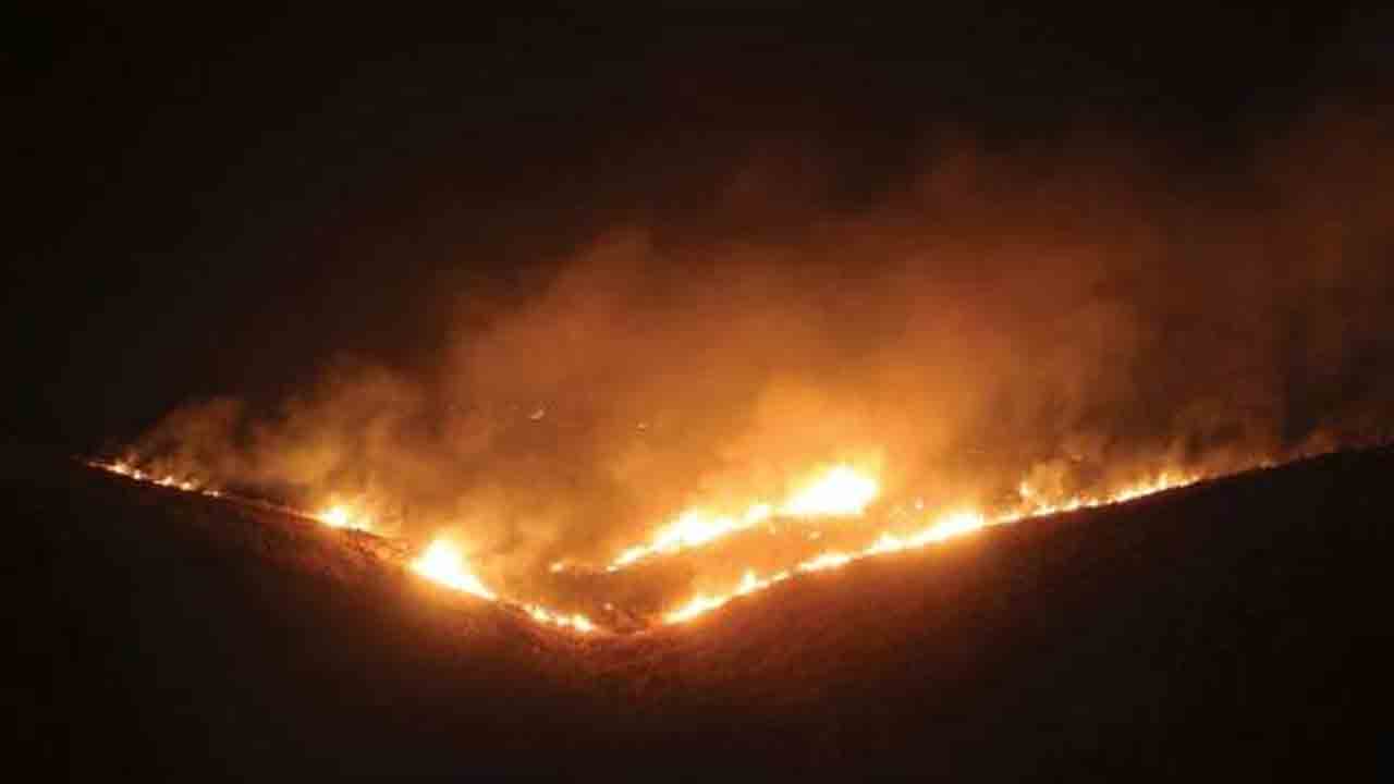 Wildfire | సరిస్కా టైగర్ రిజర్వులో అగ్నిప్రమాదం.. సీఎంతో మాట్లాడిన ప్రధాని మోదీ