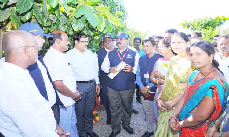 పల్లె ప్రగతి పనులు భేష్‌