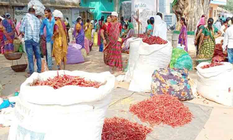 ఎండు మిర్చి @ రూ. 220